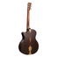 Martin GPC-X2E Cocobolo Electro Acoustic