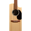 Martin GPC-X2E Cocobolo Electro Acoustic