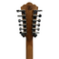Washburn WD10 SCE/12 12 String Electro Acoustic (Second Hand)