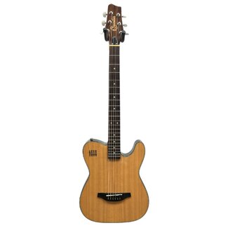 Ridgewood Ridgewood EW3000K Electro Acoustic (Second Hand)