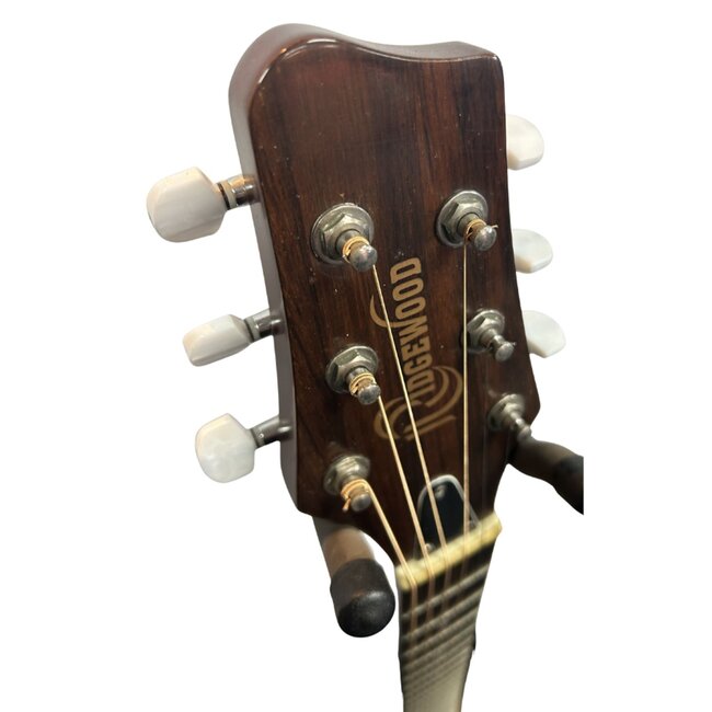 Ridgewood EW3000K Electro Acoustic (Second Hand)