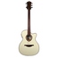 Lag Tramontane T118ASCE Slim Auditorium 2020s - Ivory (Second Hand)
