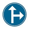 Panneau D3b: Obligation d’aller à droite ou aller tout droit  - Dia 700