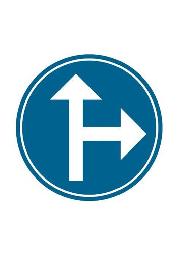 Panneau D3b: Obligation d’aller à droite ou aller tout droit  - Dia 700 