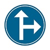 Panneau D3b: Obligation d’aller à droite ou aller tout droit  - Dia 400
