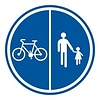 Bord D9a: Deel van de weg voorbehouden voor voetgangers en fietsers - Dia 400