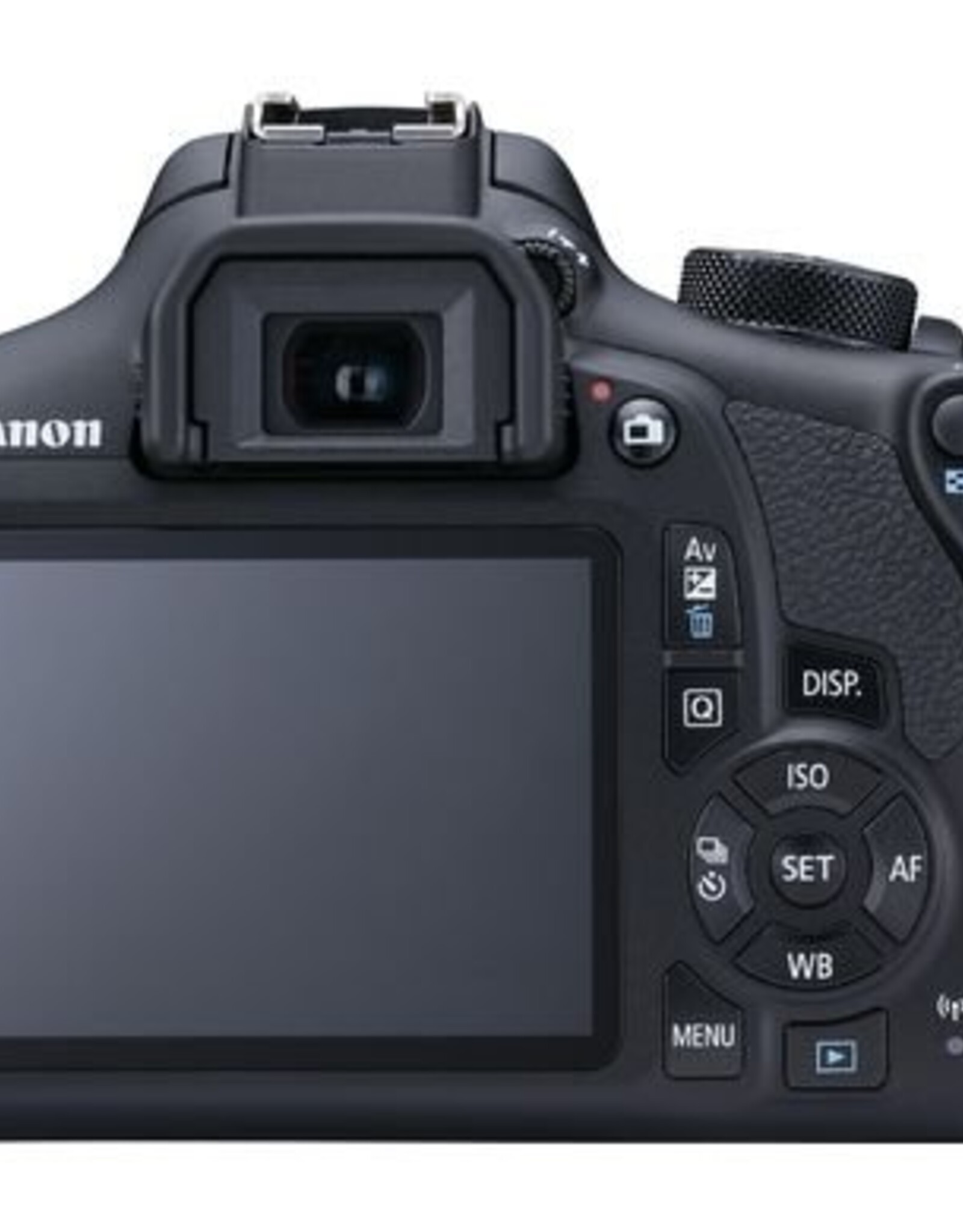Canon SLR Camera