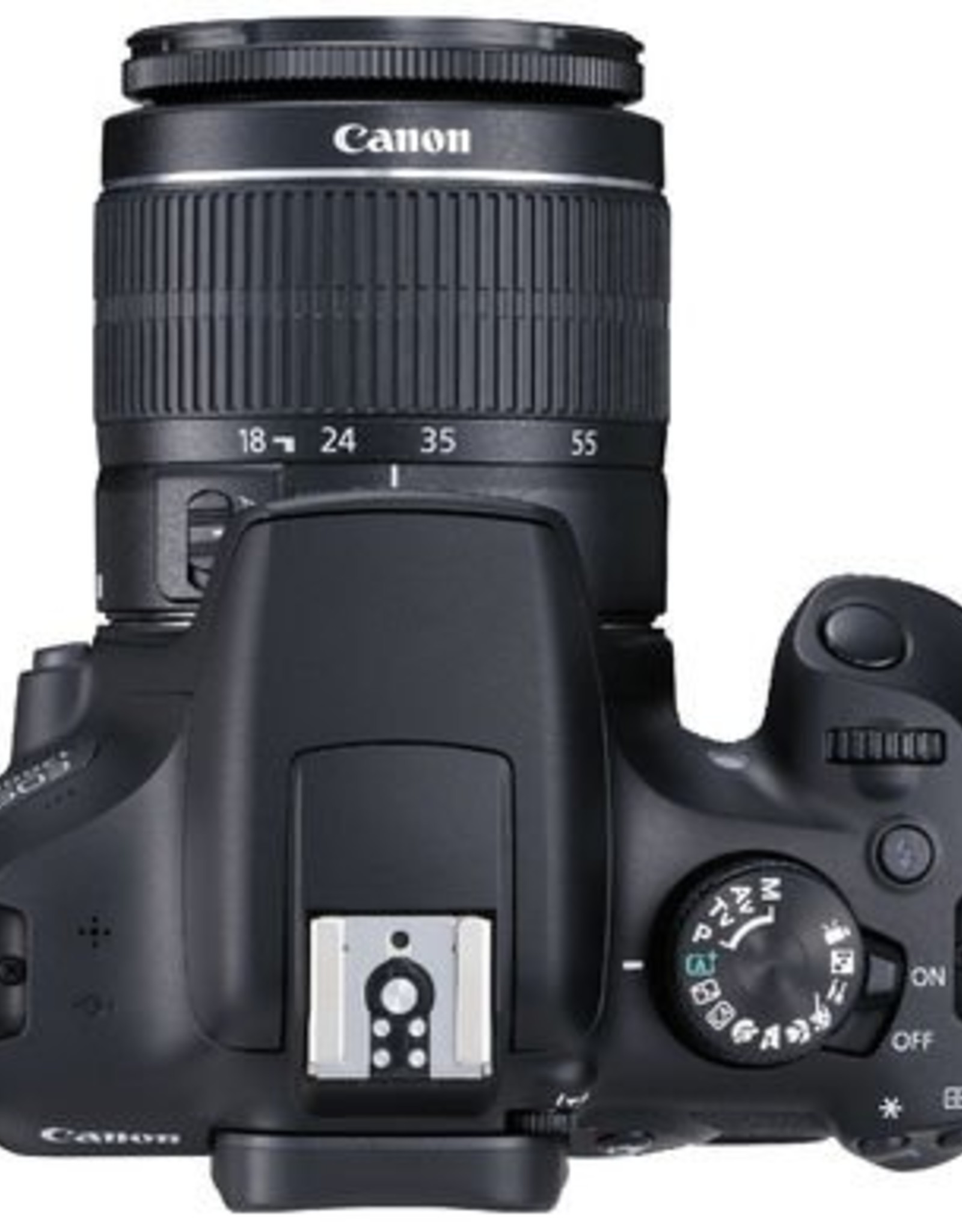 Canon SLR Camera