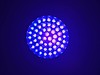 GlowFactory UV Flashlight 51 LEDS