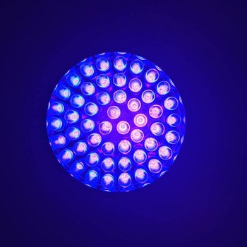 GlowFactory UV Zaklamp - 51 LEDS