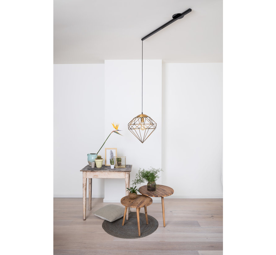 Lightswing Single Black | Hanging system 1 lamp