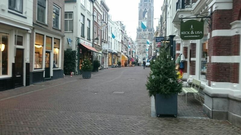 Plantenbak kerstboom