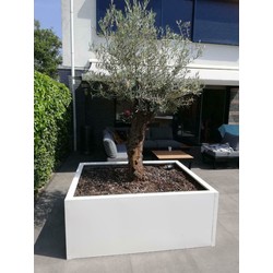 Stalen plantenbak 180x180x40 cm Wit