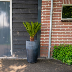 Plantenbak Fiberclay 44x44x78 cm Zwart