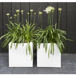 Plantenbak polyester 50x50x50 cm RAL7016