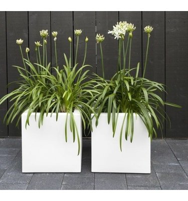 Plantenbak met wielen polyester 50x50x50 cm RAL9016