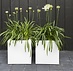 Plantenbak met wielen polyester 50x50x50 cm RAL9016