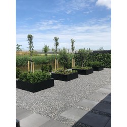 Stalen plantenbak 150x50x50 cm Zwart