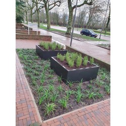 Stalen plantenbak 200x50x50 cm Antraciet