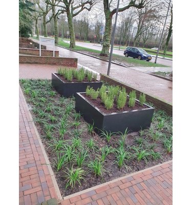 Stalen plantenbak 200x50x50 cm Antraciet