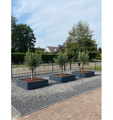 Stalen plantenbak 200x50x50 cm Antraciet