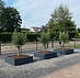 Stalen plantenbak 200x50x50 cm Antraciet