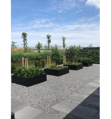 Stalen plantenbak 200x50x50 cm Antraciet