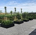 Stalen plantenbak 200x50x50 cm Antraciet