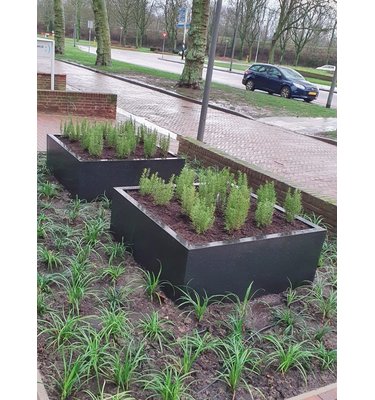 Stalen plantenbak 120x120x60 cm Antraciet