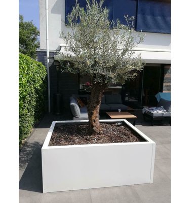 Stalen plantenbak 200x100x40 cm Antraciet