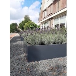 Stalen plantenbak 200x100x40 cm Antraciet