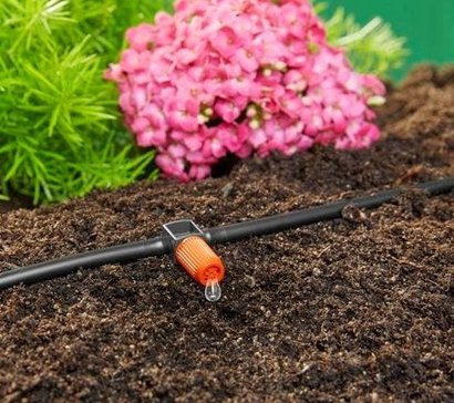 Planten water geven in je plantenbak. 10 tips voor warme dagen!