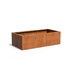 Plantenbak Cortenstaal 200x100x60 cm