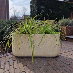 Odin S 80x22x40 cm Cream