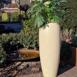 Ares XL 48x48x120 cm Cream