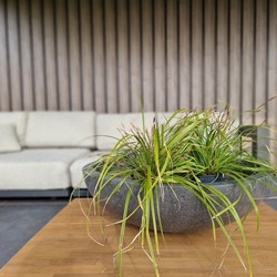 Schaal Freya L Anthracite 90x90x27 cm