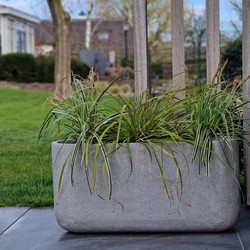 Odin S 80x22x40 cm Grey