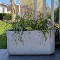 Odin  XL 110x43x55 cm Grey