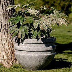 Vesta L 60x45 cm  Grey