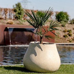 Ash S 66x50 cm Off-White