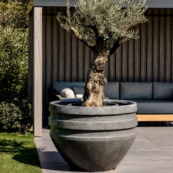 Vesta XXL 120x90 cm Anthracite
