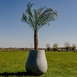 Ash L 71x80 cm Grey