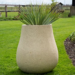 Ash L 71x80 cm Cream