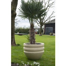 Vesta XL 80x60 cm Cream