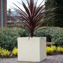 Cube L 60x60x60 cm Cream