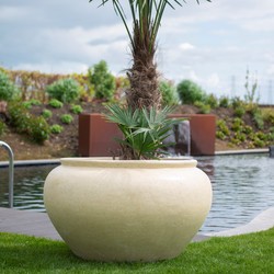 Sia  XL 100x60 cm Cream