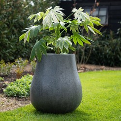 Ash L 71x80 cm Anthracite