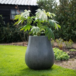 Ash M 53x60 cm Anthracite