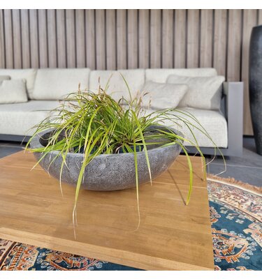 Betonnen schaal "Freya" M "Grey" 70x70x20 cm