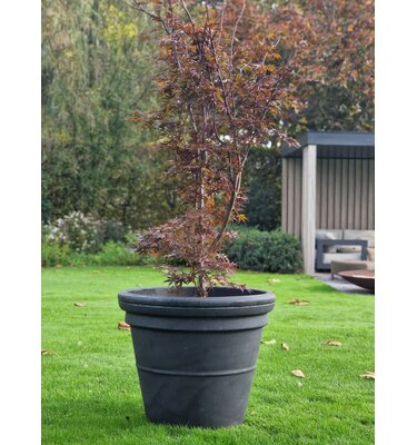 Kunststof Plantenbak Buiten Prestige Rome 66 cm Zwart Graniet  (180 L)